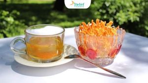 Cách pha trà đông trùng hạ thảo táo đỏ tại nhà