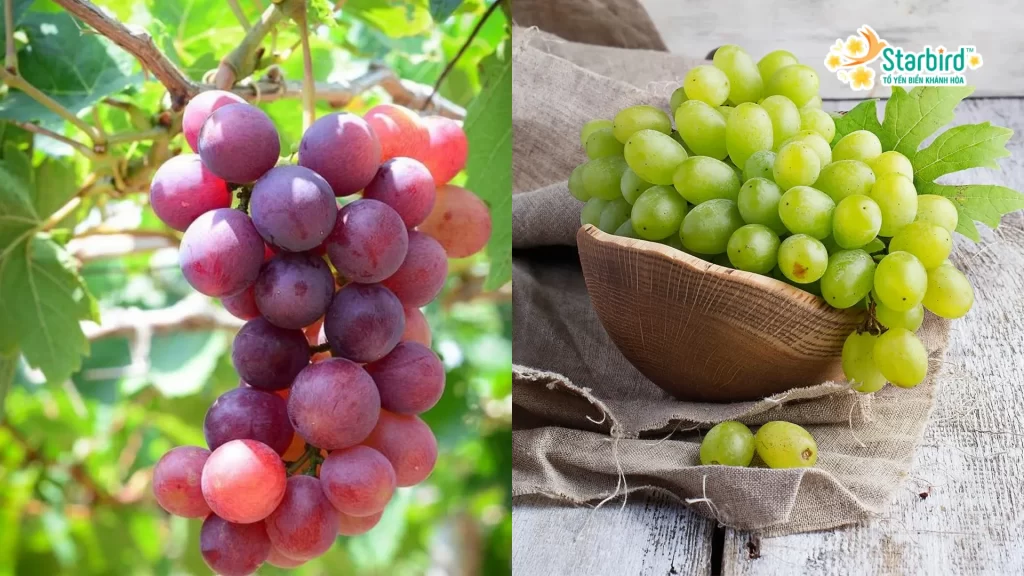 Những trái nho thường được xem là biểu tượng của sự giàu có, sung túc
