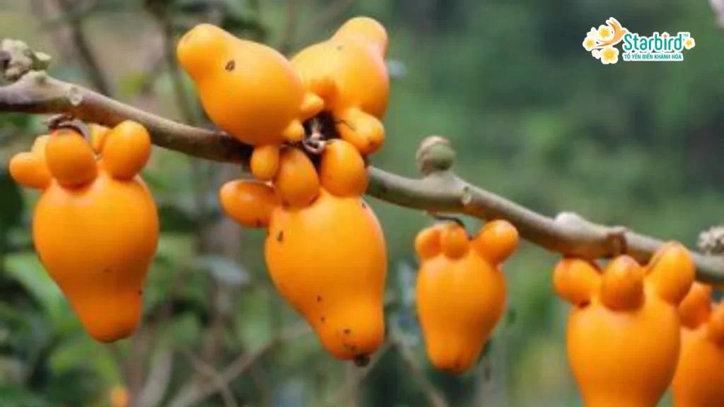 Trái dư tạo nên sự độc đáo trong mâm cúng Tết