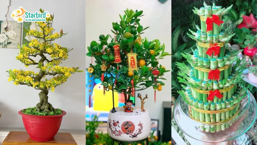 Chọn lựa hoa và cây cảnh phù hợp cho trang trí nhà đón Tết 2025