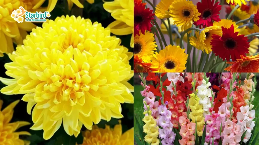 Hoa tươi trong mâm cúng khai trương đầu năm