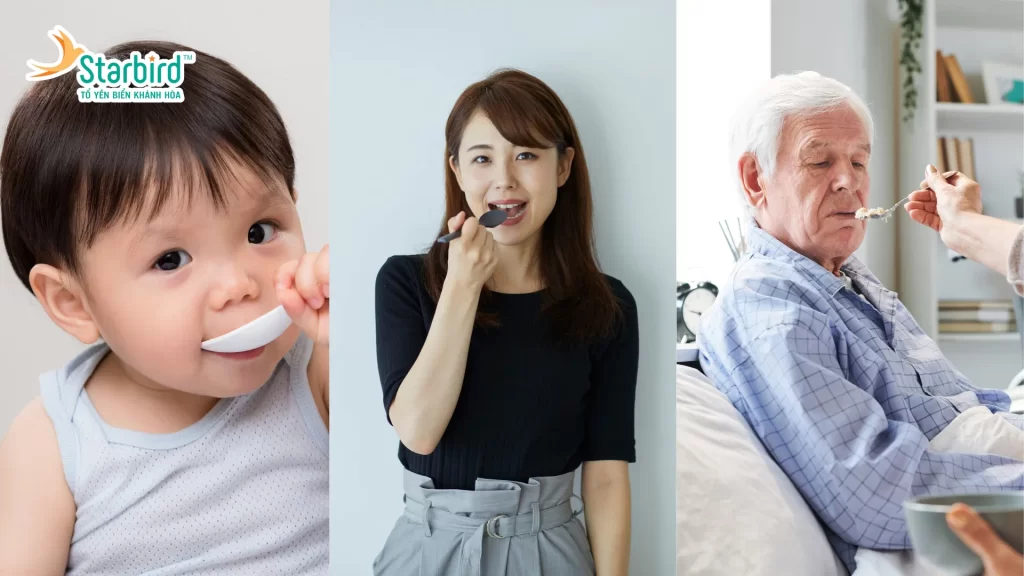 Liều lượng ăn yến chưng không đường - Thời Điểm Tốt Nhất Để Sử Dụng Yến Chưng Không Đường