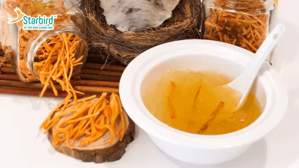 Công thức chế biến - Người già ăn yến có tốt không khi kết hợp đông trùng hạ thảo