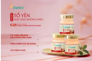 Yến chưng mật ong Starbird