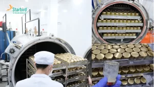 Quy trình sản xuất – hoàn thiện – triển khai đầu ra cho yến sào nhãn riêng từ A - Z không phải là chuyện đơn giản