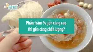 Thực tế, thị trường yến chưng sẵn chưa có một quy chuẩn cụ thể nào về thành phần phần trăm % yến