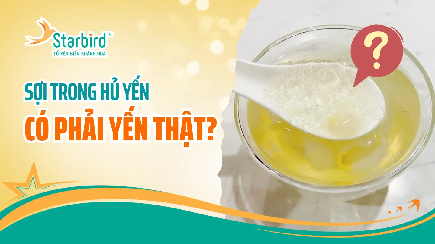 Lầm tưởng phổ biến về yến chưng sẵn - Sợi trong hủ yến có phải yến thật? | Starbird