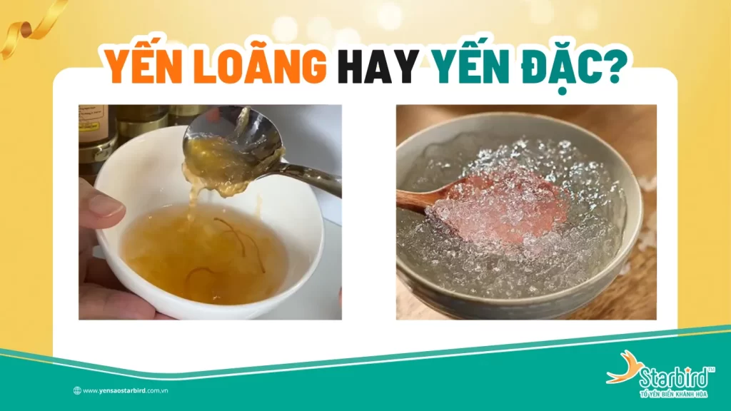 Lầm tưởng phổ biến về yến chưng sẵn - Yến loãng hay yến đặc, loại nào tốt hơn? | Starbird