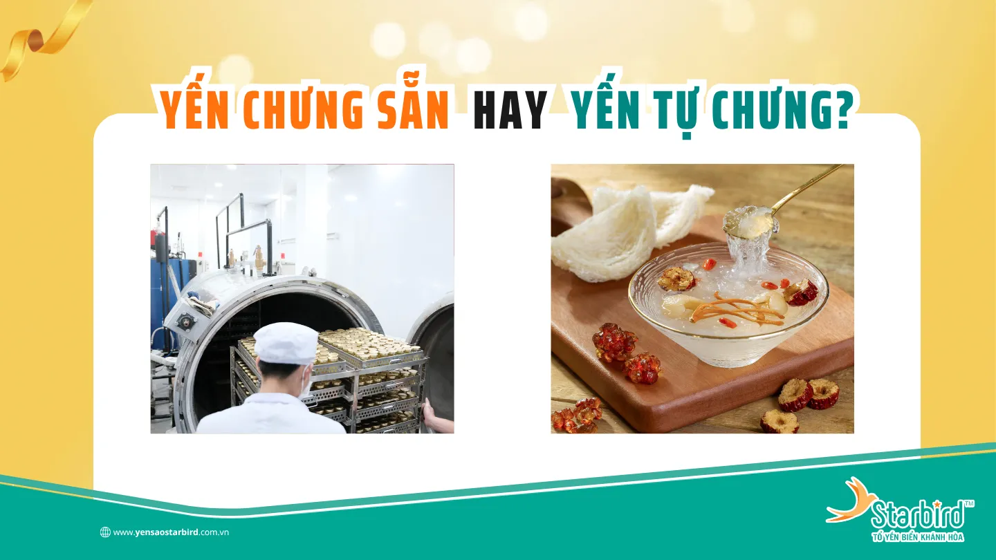 Lầm tưởng phổ biến về yến chưng sẵn - Yến chưng sẵn có tốt bằng yến tự chưng? | Starbird