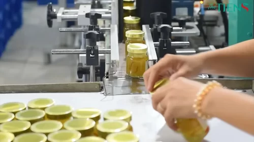 Sản Xuất Yến Sào Nhãn Riêng đang là nhu cầu của rất nhiều người khởi nghiệp vì tiềm năng về ngành thực phẩm sức khoẻ còn phát triển mạnh