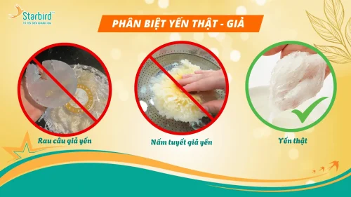 Phân biệt yến thật giả sau khi ngâm với nước